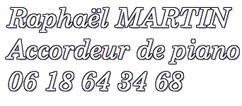 Logo Raphaël Martin